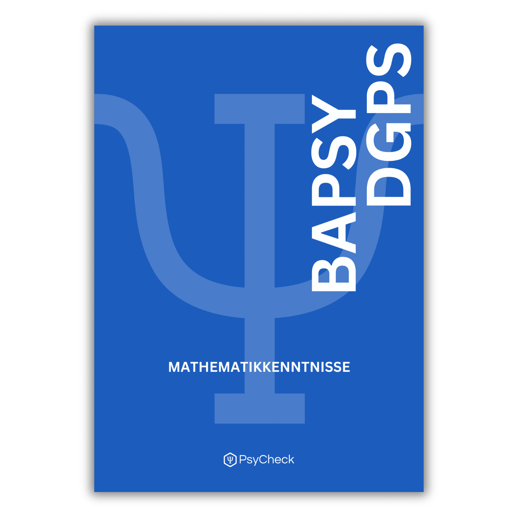 Mathematikkenntnisse