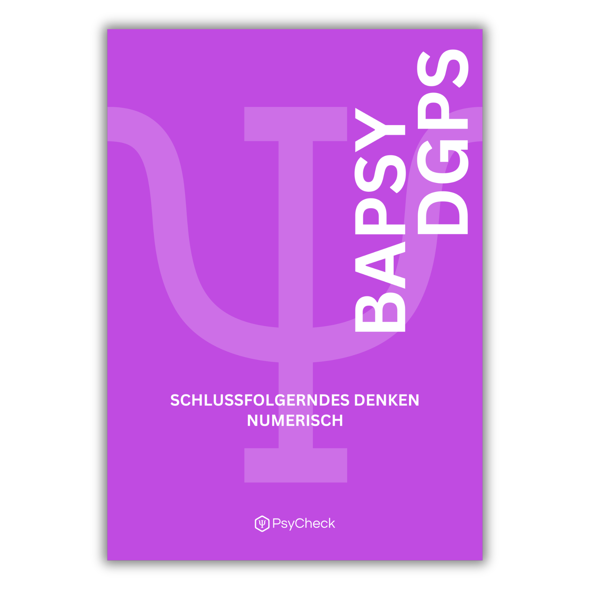 Schlussfolgerndes Denken numerisch